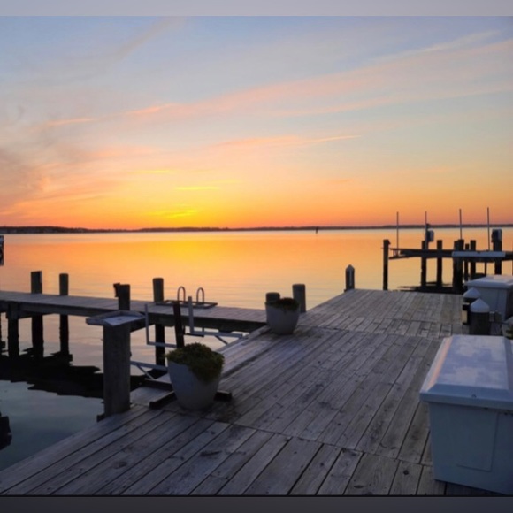 Meet your Posher, Donnalee - Picture 1 of 1